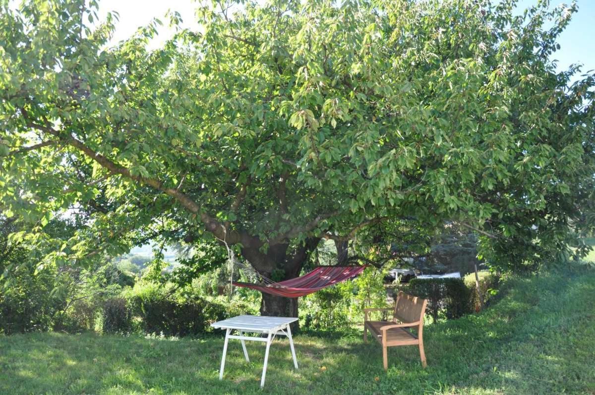 Gite Abricotier Crozes-Hermitage Εξωτερικό φωτογραφία