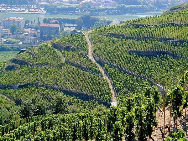 Gite Abricotier Crozes-Hermitage Εξωτερικό φωτογραφία